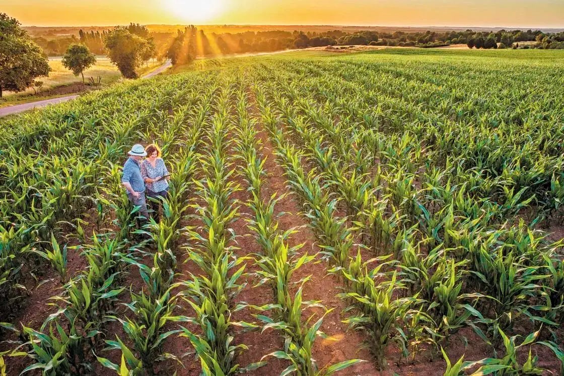 Soluciones para la Agricultura